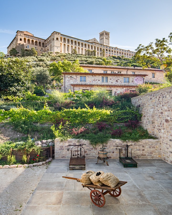 The Location